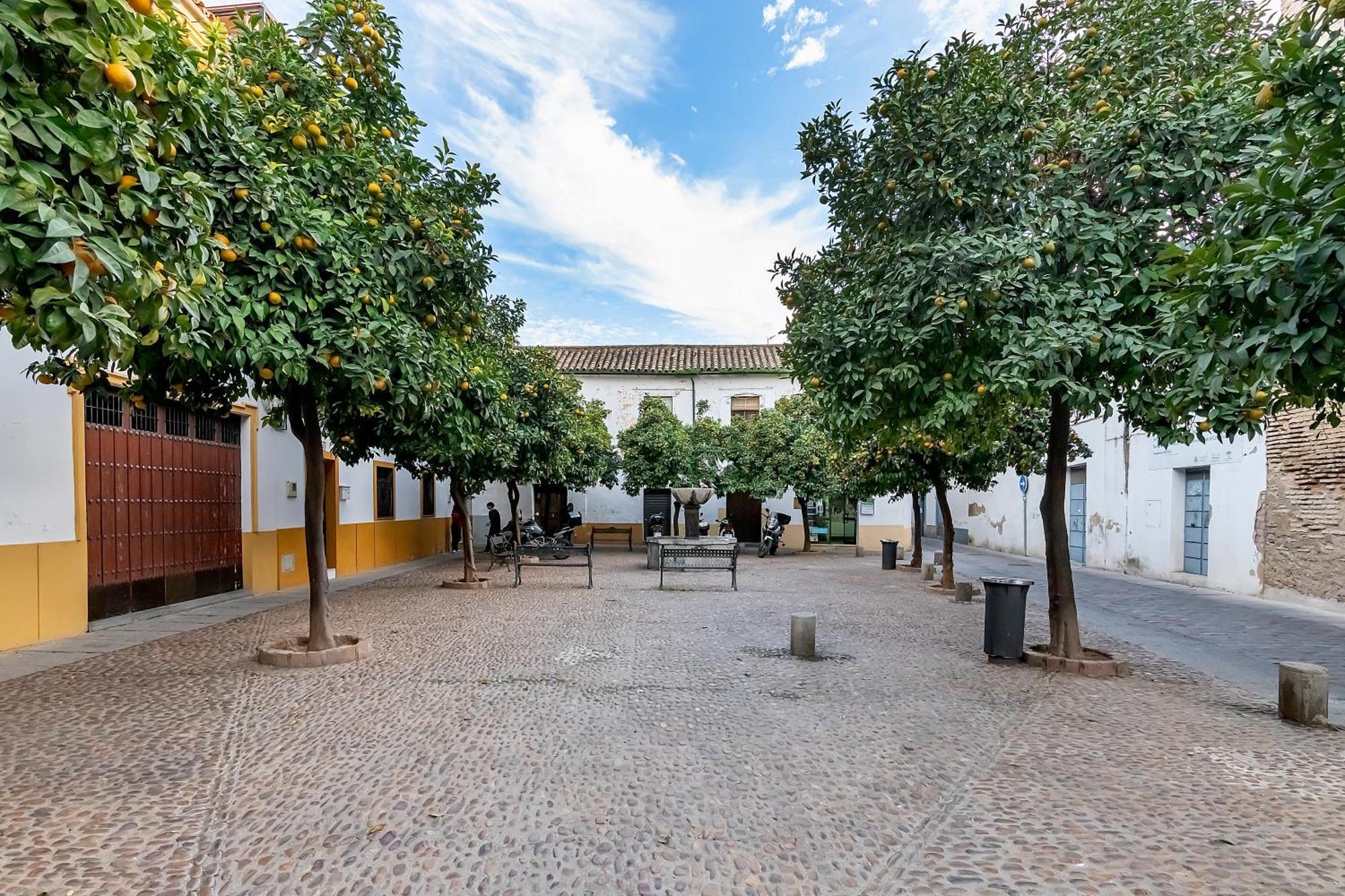 Ferienwohnung Bhost - Yayo Pepe Córdoba Exterior foto